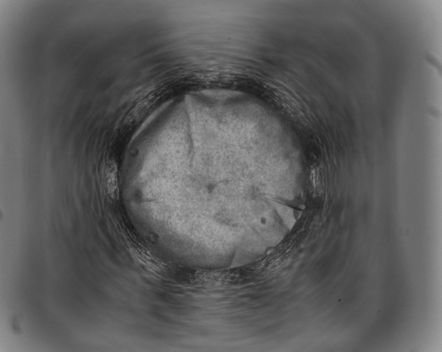 X0000096960963200802291117