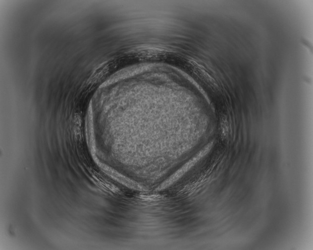 X0000096960964200802291117