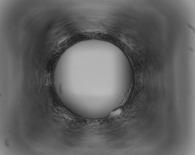 X0000096960965200802291117