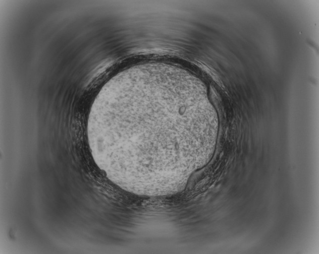 X0000096960967200802291117