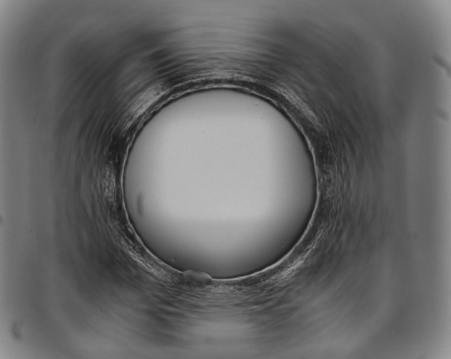 X0000096960969200802291117