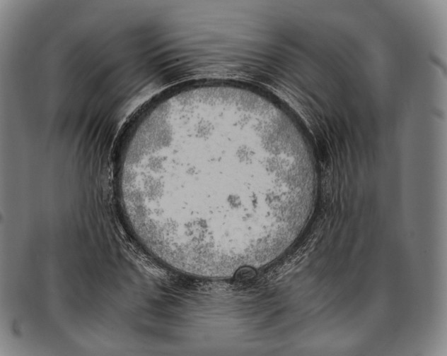 X0000096960971200802291117