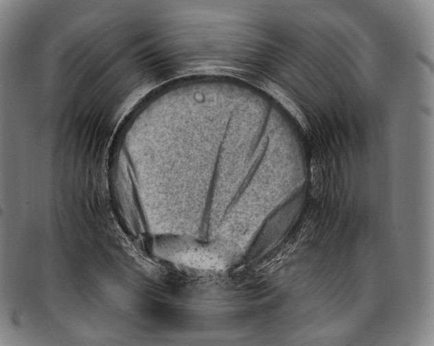 X0000096960972200802291117