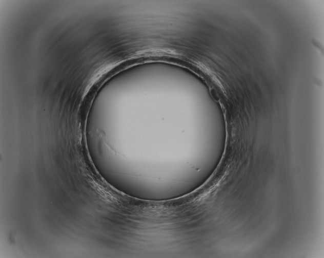 X0000096960973200802291117