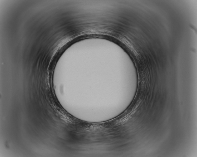 X0000096960974200802291117