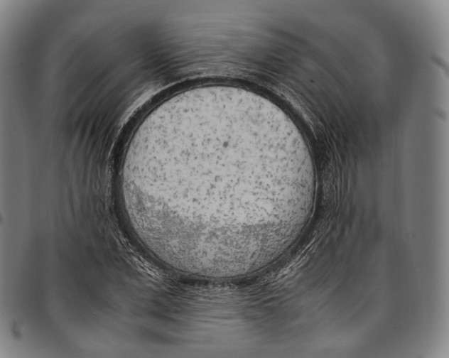 X0000096960975200802291117