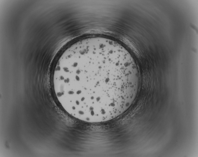 X0000096960976200802291117