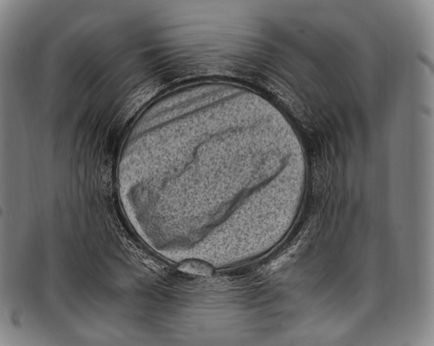 X0000096960977200802291117