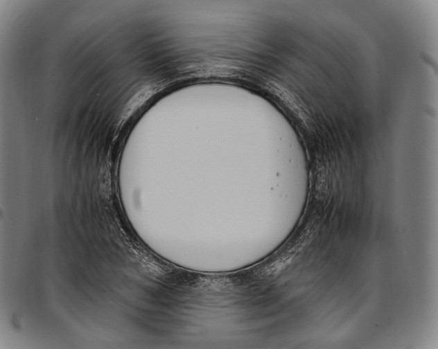 X0000096960978200802291117