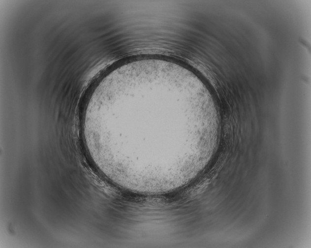 X0000096960979200802291117