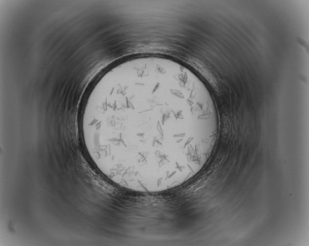 X0000096960980200802291117