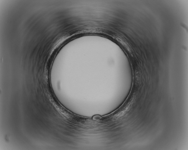 X0000096960981200802291117