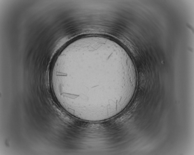 X0000096960982200802291117