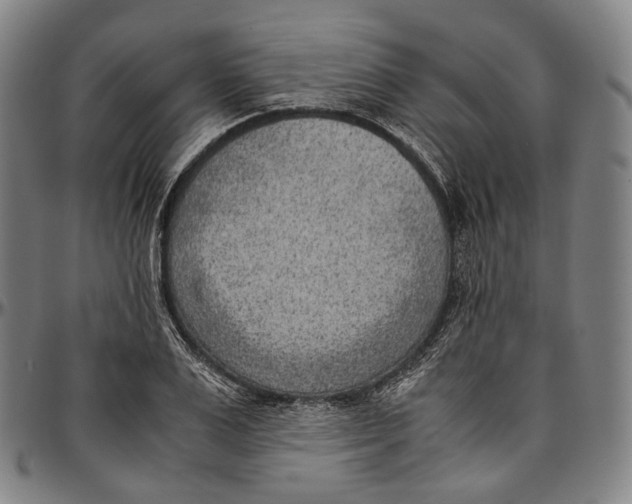 X0000096960983200802291117