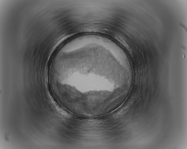 X0000096960984200802291117