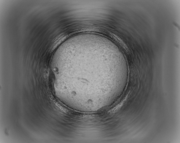 X0000096960985200802291117