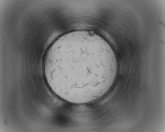 X0000096960986200802291117