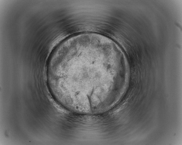 X0000096960987200802291117