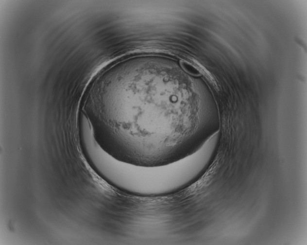 X0000096960988200802291117