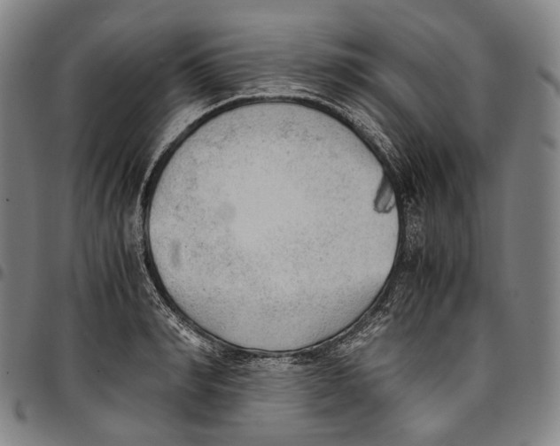 X0000096960990200802291117