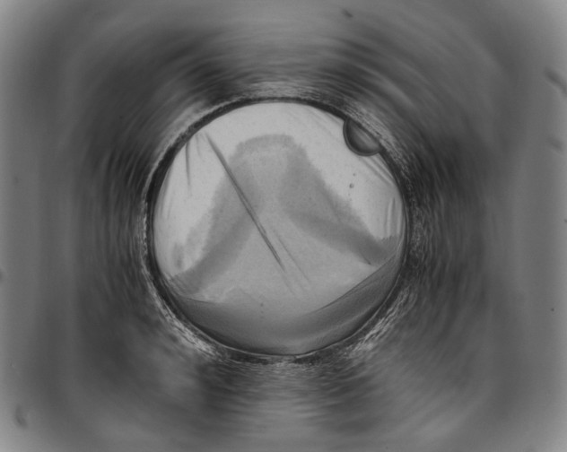 X0000096960992200802291117