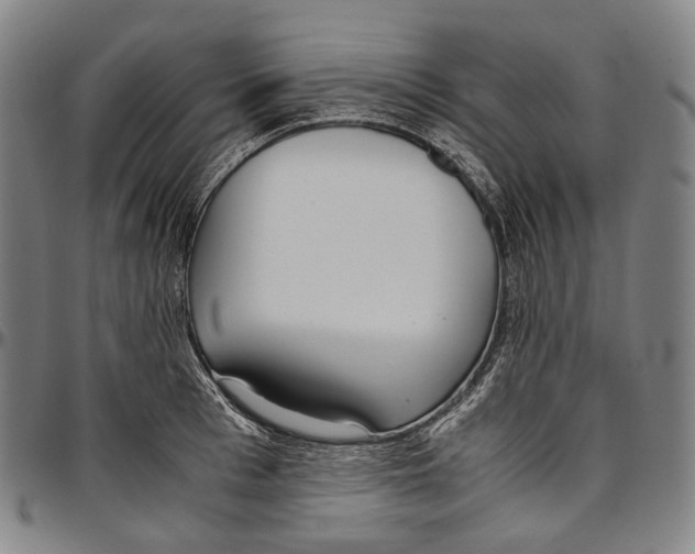 X0000096960993200802291116