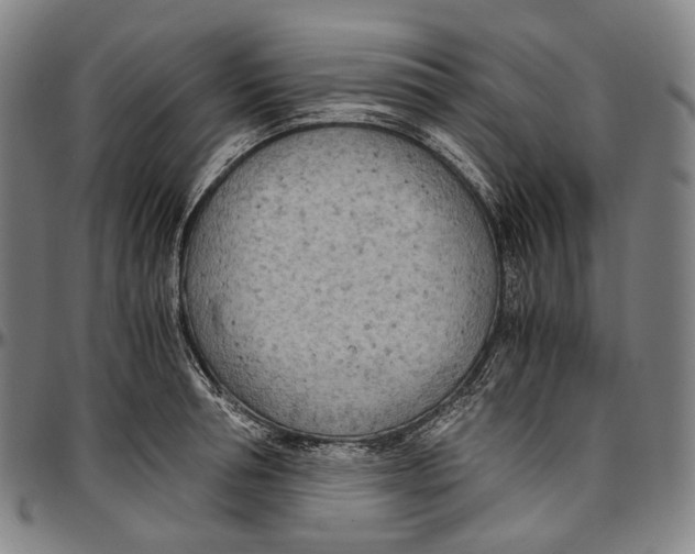 X0000096960994200802291116