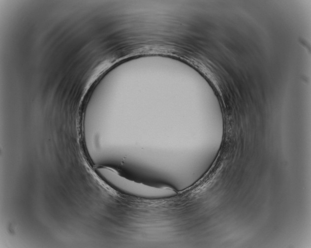 X0000096960997200802291116