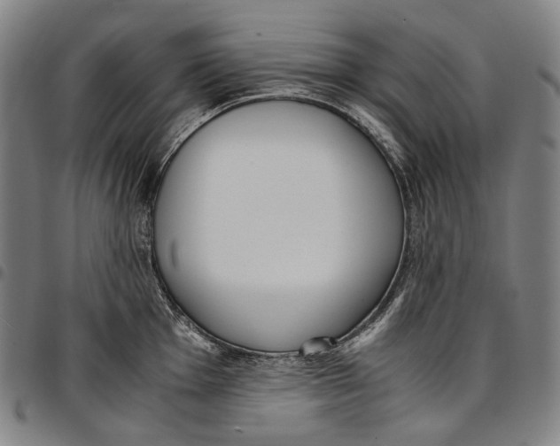 X0000096961001200802291116