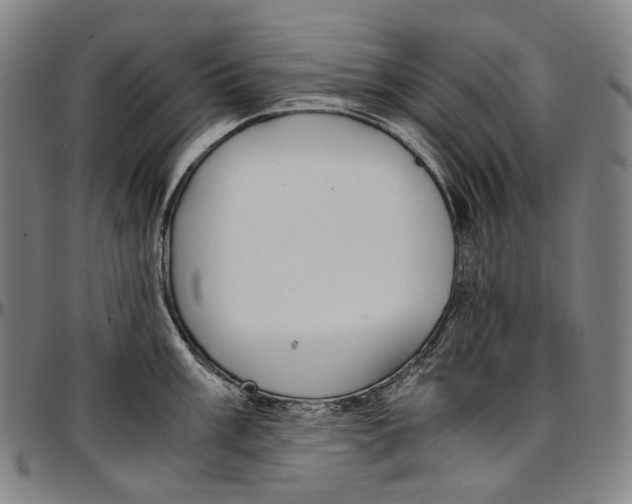 X0000096961003200802291116