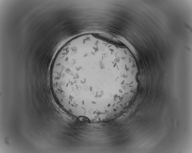 X0000096961004200802291116