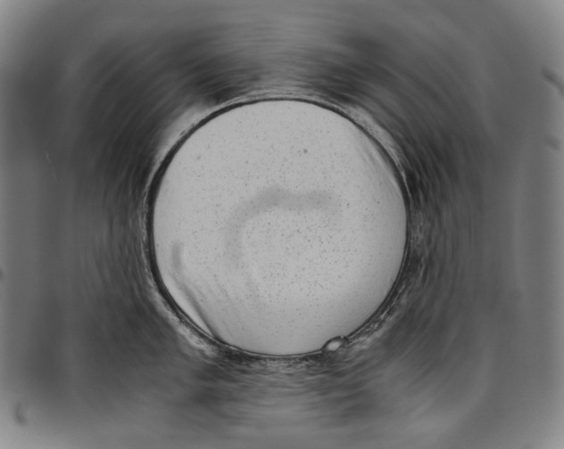 X0000096961005200802291116