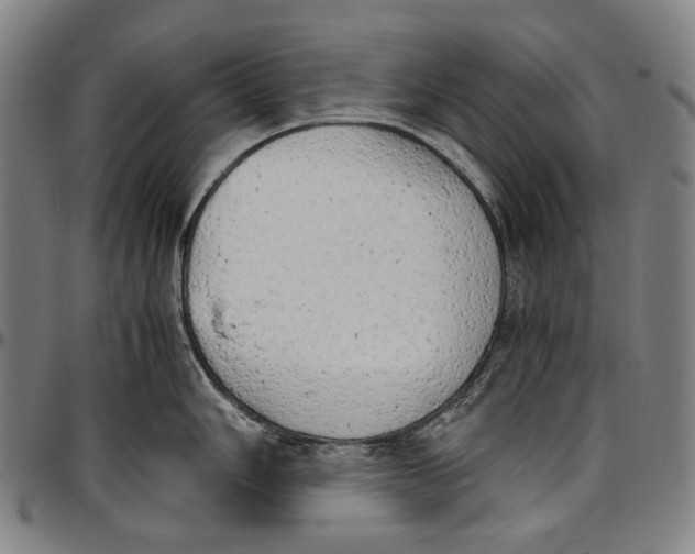 X0000096961006200802291116