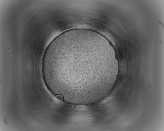 X0000096961007200802291116