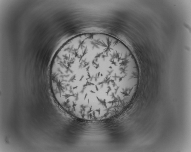 X0000096961008200802291116