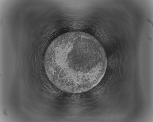 X0000096961009200802291116