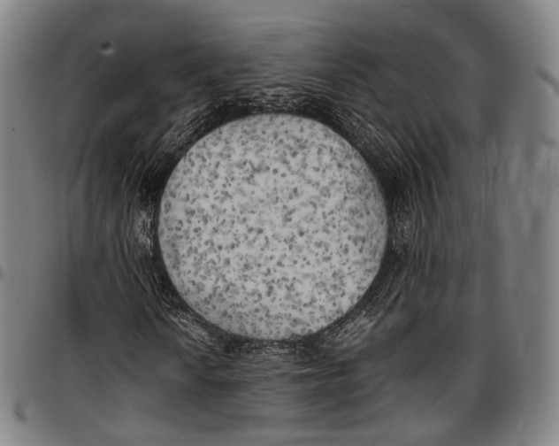 X0000096961010200802291116