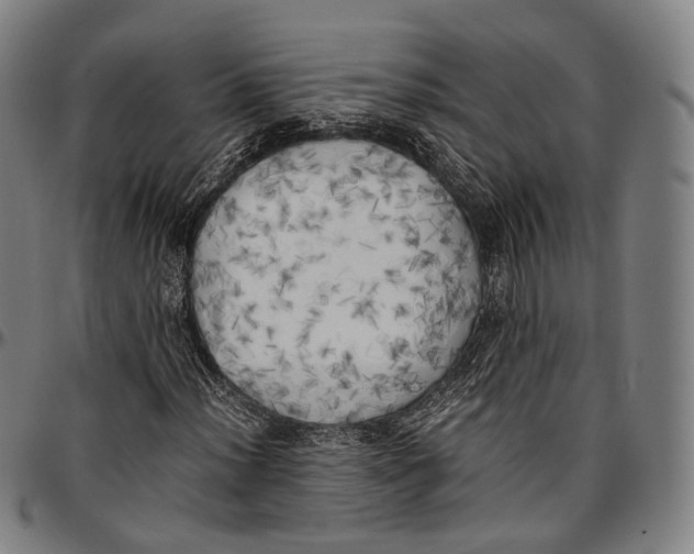 X0000096961012200802291116