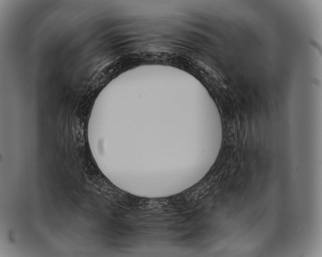 X0000096961013200802291116