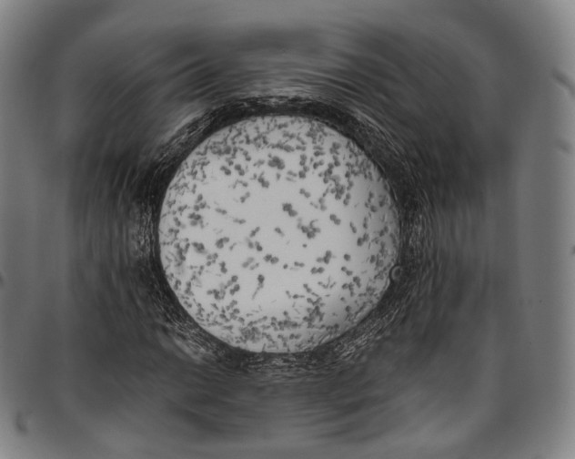 X0000096961014200802291116