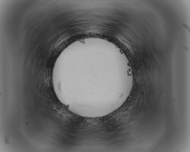 X0000096961015200802291116