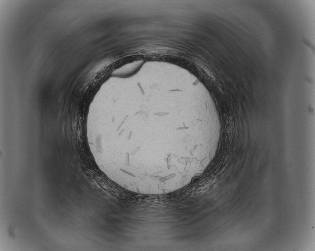 X0000096961016200802291116