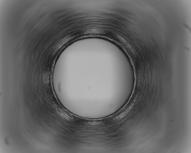 X0000096961017200802291116