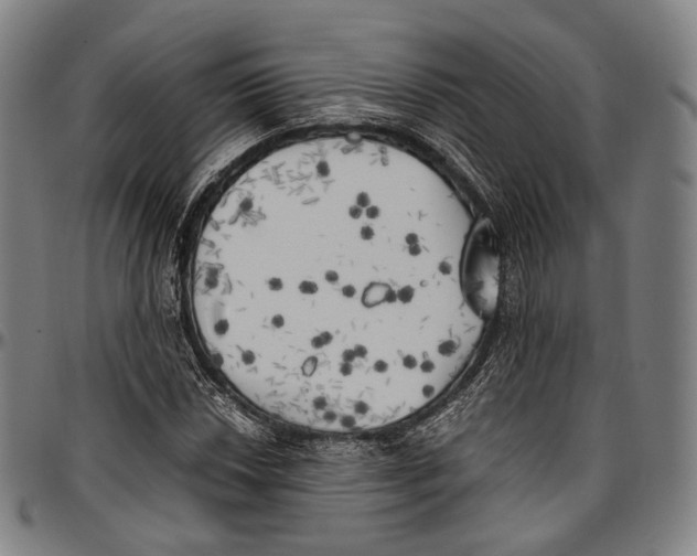 X0000096961018200802291116