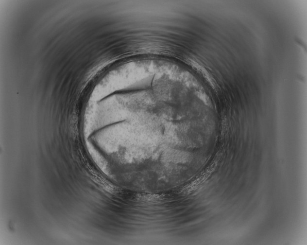 X0000096961019200802291116