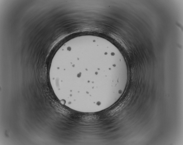 X0000096961021200802291116