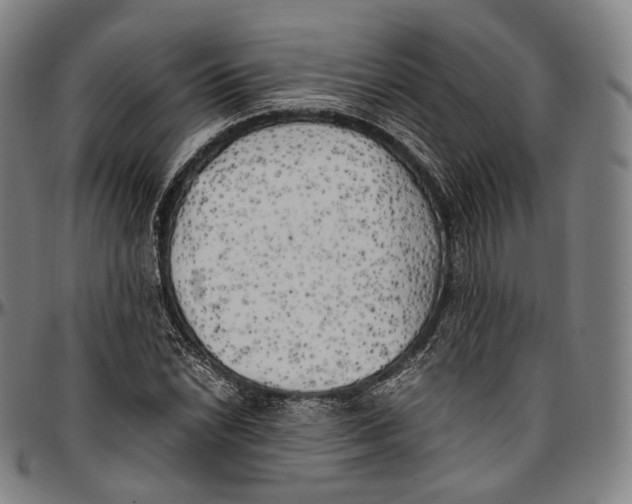 X0000096961022200802291116