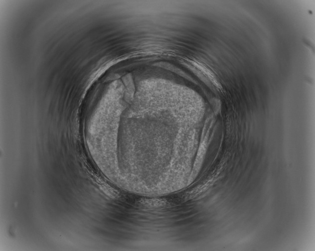 X0000096961023200802291116