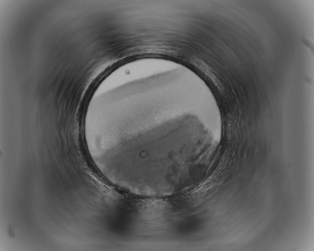 X0000096961024200802291116