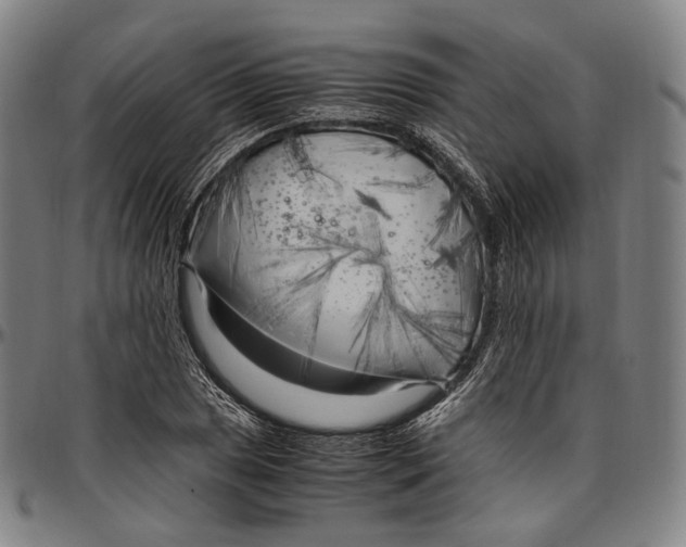 X0000096961025200802291116